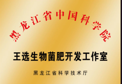 1700181364130825.png image.png